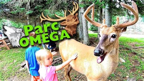 parc omega wildlife